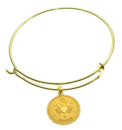 Coin Zodiac Bracelet Program (Kit of 24)